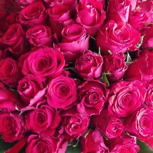 Meet your Posher, Posh